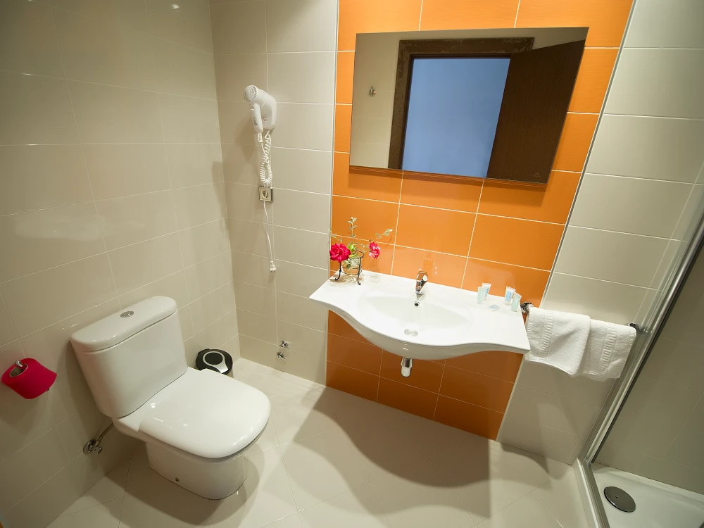 Habitación doble estándar